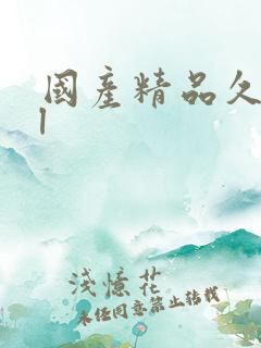 国产精品久久久l