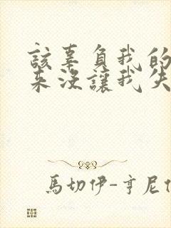 该辜负我的事从来没让我失望过