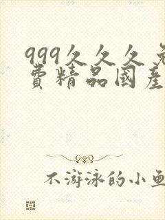 999久久久免费精品国产
