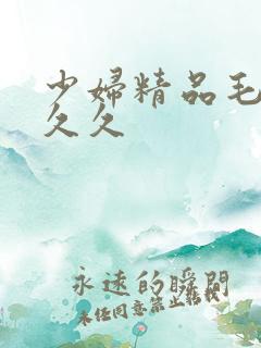 少妇精品毛片久久久