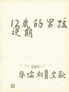 12岁的男孩叛逆期