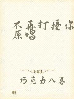 不再打扰你歌曲原唱