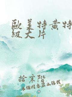 欧美特黄特色一级大片