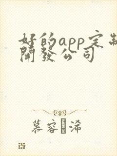 好的app定制开发公司