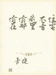 偷偷藏不住可以在哪里看电视剧