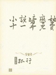 小说暗恋她的第十一年免费看