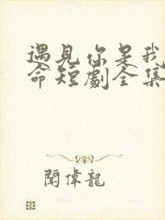 遇见你是我的宿命短剧全集