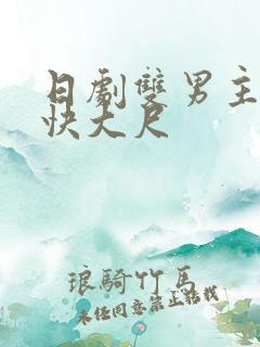 日剧双男主车速快大尺