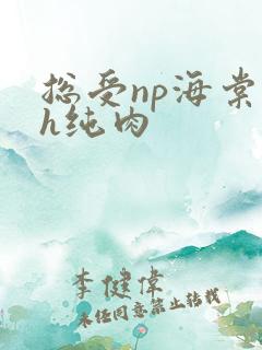 总受np海棠高h纯肉