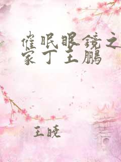 催眠眼镜之极品家丁王鹏