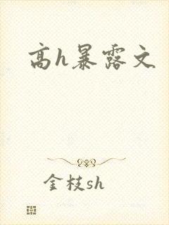 高h暴露文
