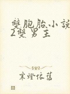 双胞胎小说1v2双男主