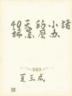 40天的小猪拉稀怎么办