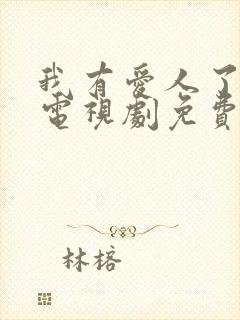 我有爱人了韩剧电视剧免费观看