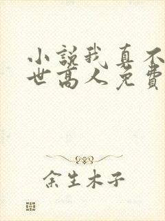 小说我真不是盖世高人免费阅读