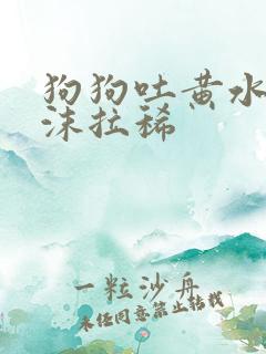 狗狗吐黄水带泡沫拉稀