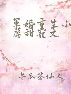 军婚重生小说推荐甜宠文