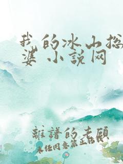 我的冰山总裁老婆 小说网