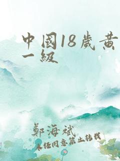 中国18岁黄色一级