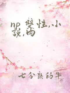 np 双性,小说,肉