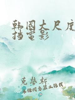 韩国大尺度无遮挡电影