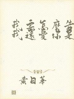 我要怎么告诉你我还爱你是什么歌曲