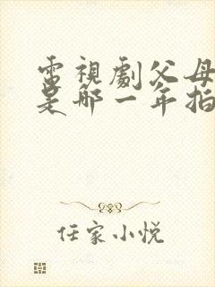 电视剧父母爱情是哪一年拍的