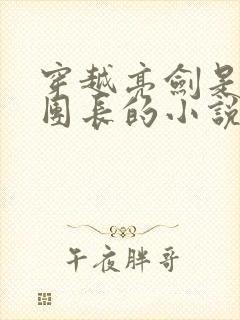 穿越亮剑是邢副团长的小说