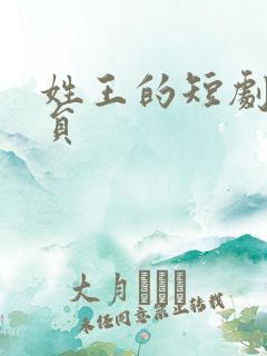 姓王的短剧男演员