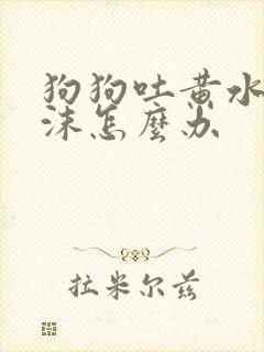 狗狗吐黄水带泡沫怎么办