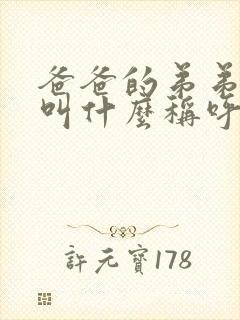 爸爸的弟弟老婆叫什么称呼