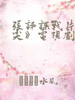 张译谍战片《刀尖》电视剧免费观看