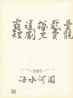霸道总裁爱上我短剧免费观看