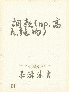 调教(np,高h,纯肉)