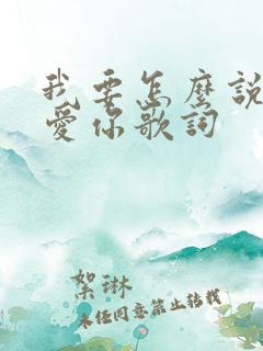 我要怎么说我不爱你歌词