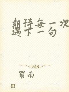 期待每一次的相遇下一句