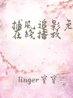 捕风追影免费版在线播放