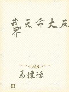 我天命大反派境界