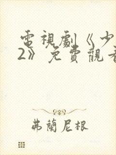 电视剧《少年派2》免费观看