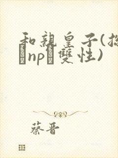 和亲皇子(总受·np·双性)