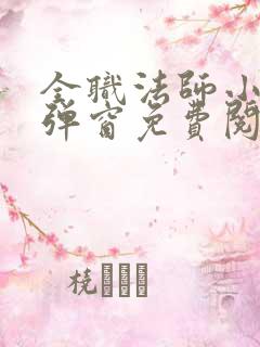 全职法师小说无弹窗免费阅读