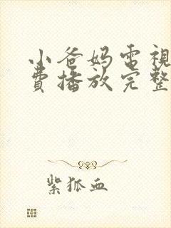 小爸妈电视剧免费播放完整版