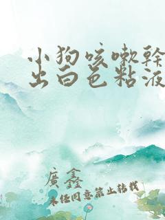 小狗咳嗽干呕吐出白色粘液