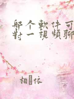 哪个软件可以一对一视频聊天