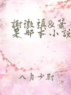 谢徽禛&萧砚宁是哪本小说