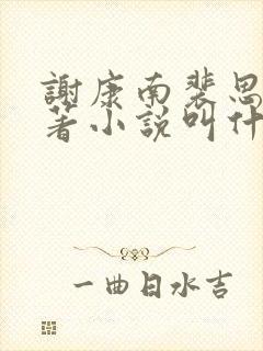 谢康南裴思凝原著小说叫什么