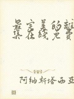 最完美的离婚全集在线免费观看