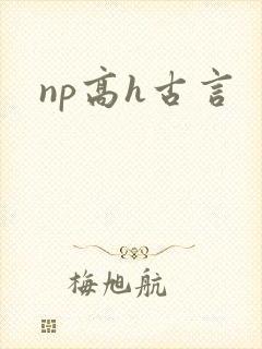 np高h古言