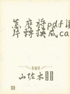 怎么将pdf图片转换成cad图