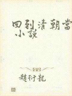 回到清朝当皇上 小说